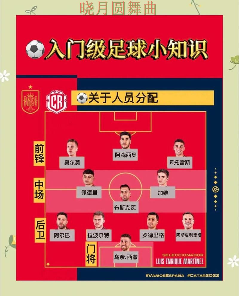 世界杯买球怎么选更稳技巧总结